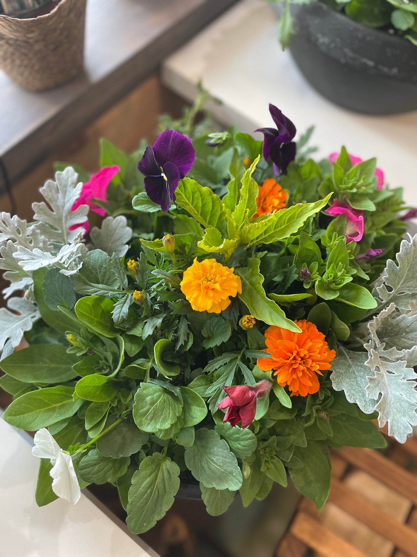 Balcony Bowl Planter
