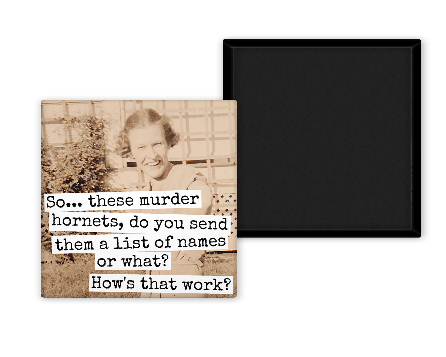 MAGNET | So... These Murder Hornets, Do You Send Them A List
