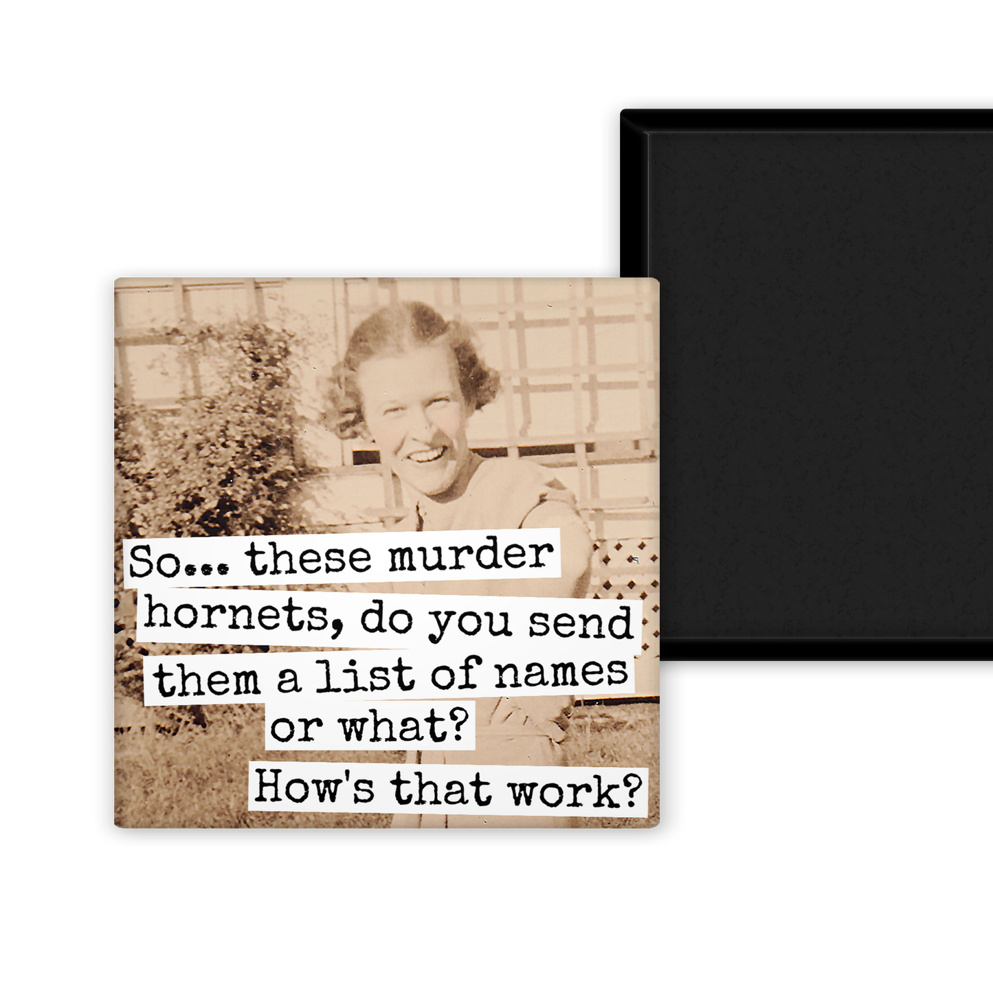 MAGNET | So... These Murder Hornets, Do You Send Them A List