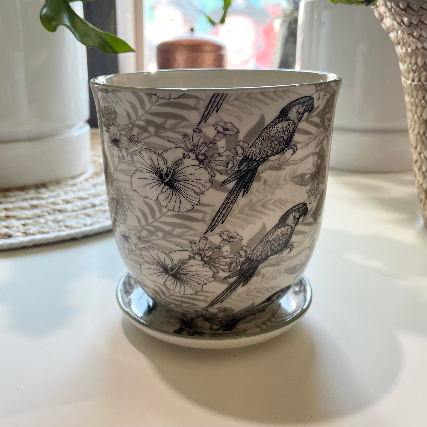 Dim Sum Porcelain Plant Pot