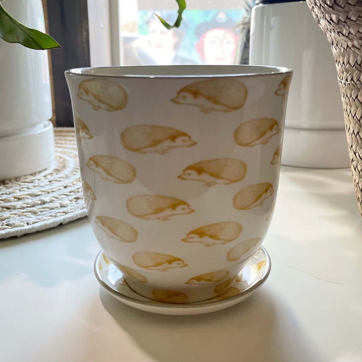 Dim Sum Porcelain Plant Pot