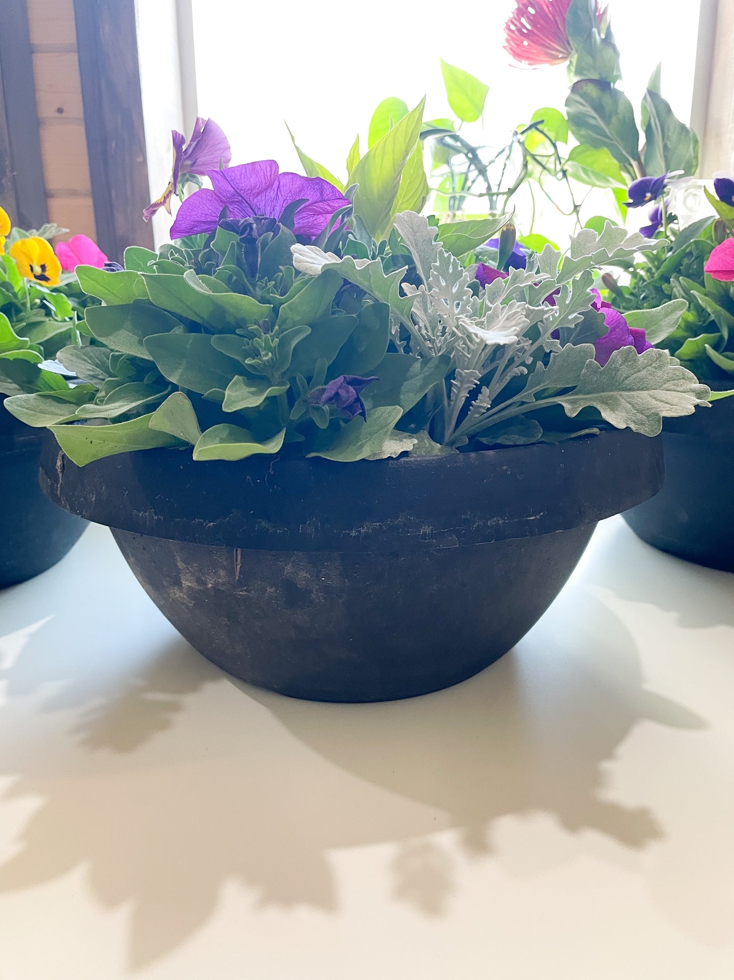 Balcony Bowl Planter